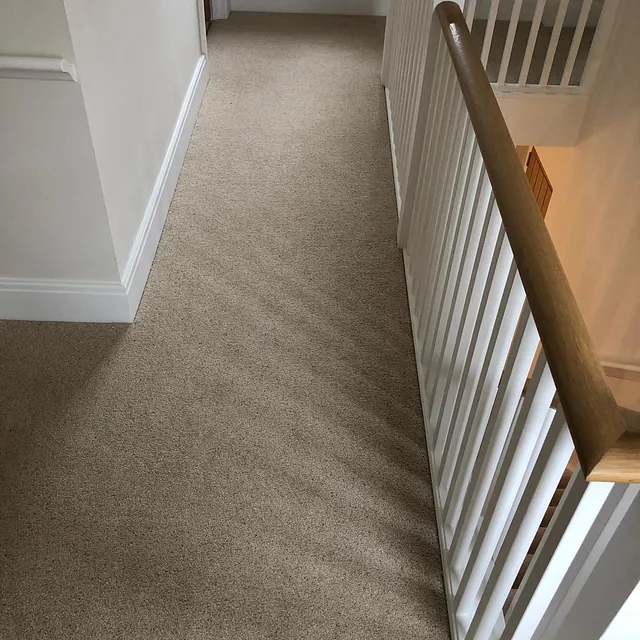 Carpet