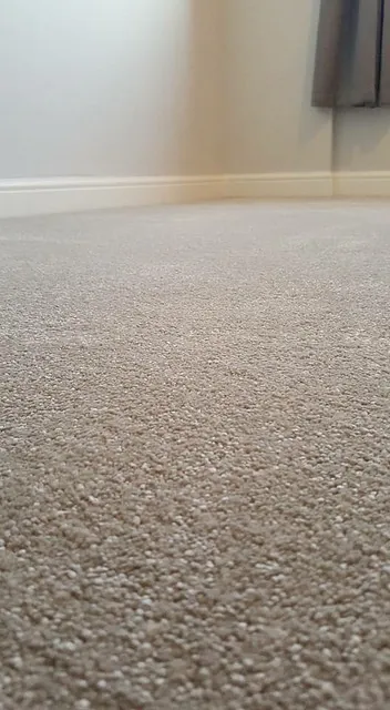 Domestic Carpet