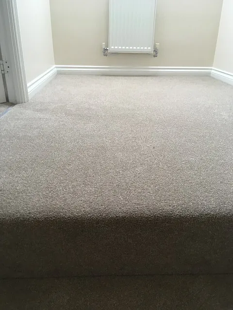 Carpet for Stairs